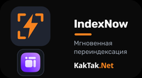 Мгновенная переиндексация для поиска и ИИ-ассистентов (Сайт)